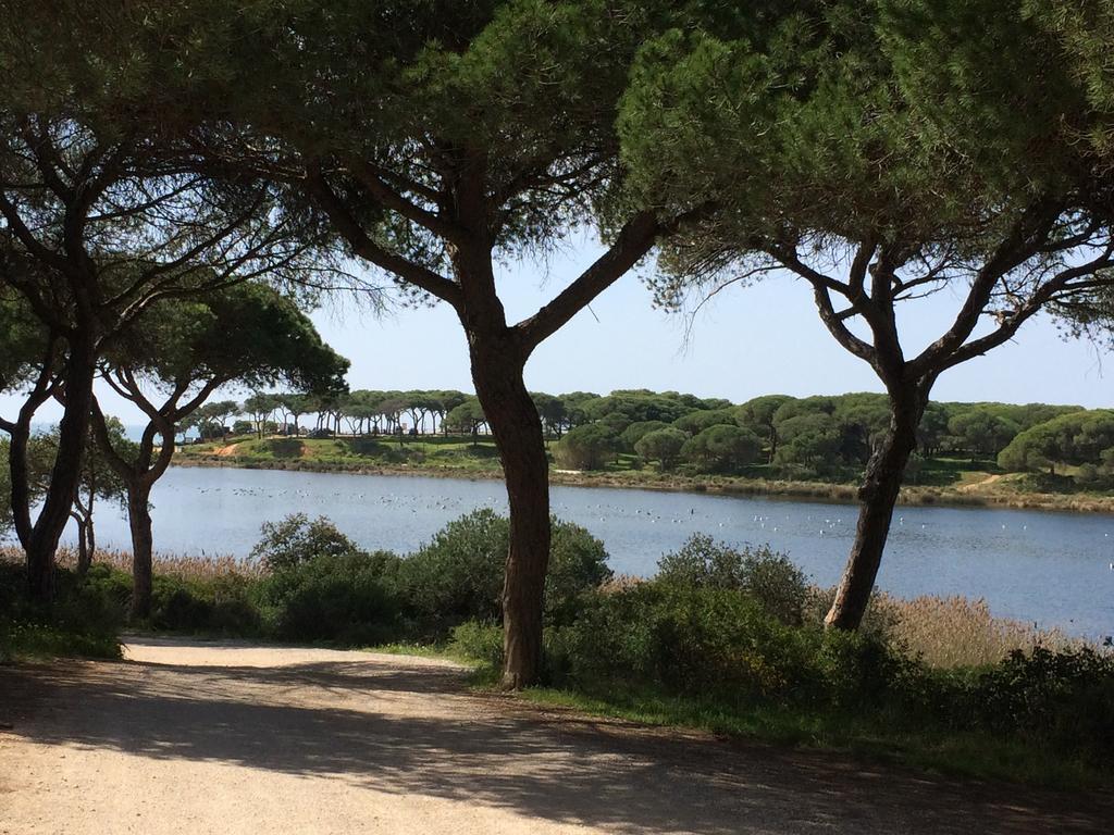 Fonte Santa *